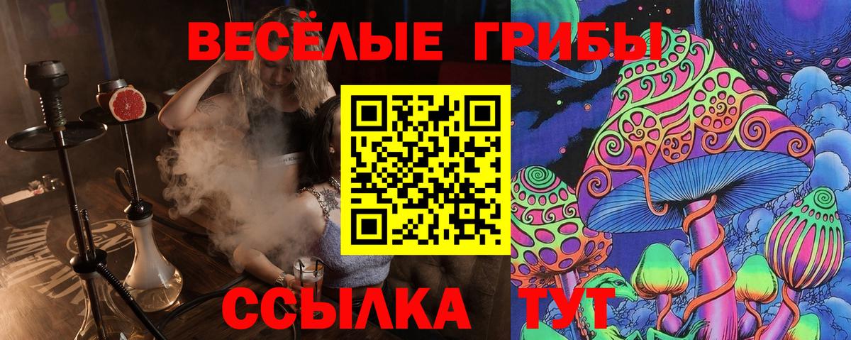 Волжск  Псилоцибиновые грибы Psilocybine cubensis  Галлюциногенные грибы Psilocybine cubensis  Вход с VPN 